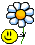 Kwiat